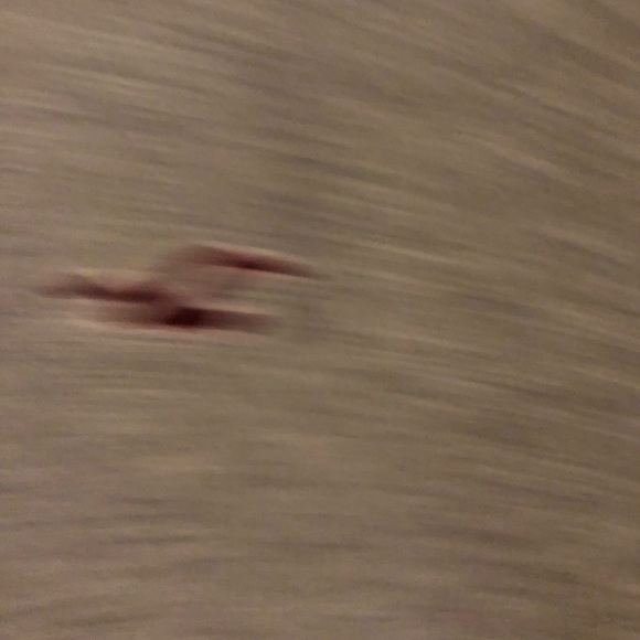 Hollister Crewneck Sweater, heather grey, Size M - Picture 3 of 5